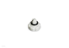 Air Release Valve B (10725)