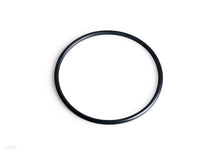 Filter Housing O-Ring (11330)