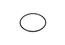 O-Ring On Titanium Plates (11515)