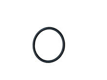 Inlet Filter O-Ring (12861)