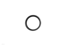 Titanium Electrode O-Ring (12871)
