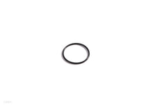 Titanium Electrode O-Ring (13094)