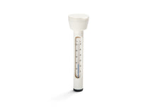 Pool Thermometer (19634)